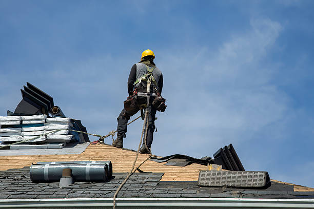 Professional Roofing technician working in Roseville, MN